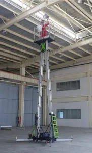 double mast vertical lift application (2)